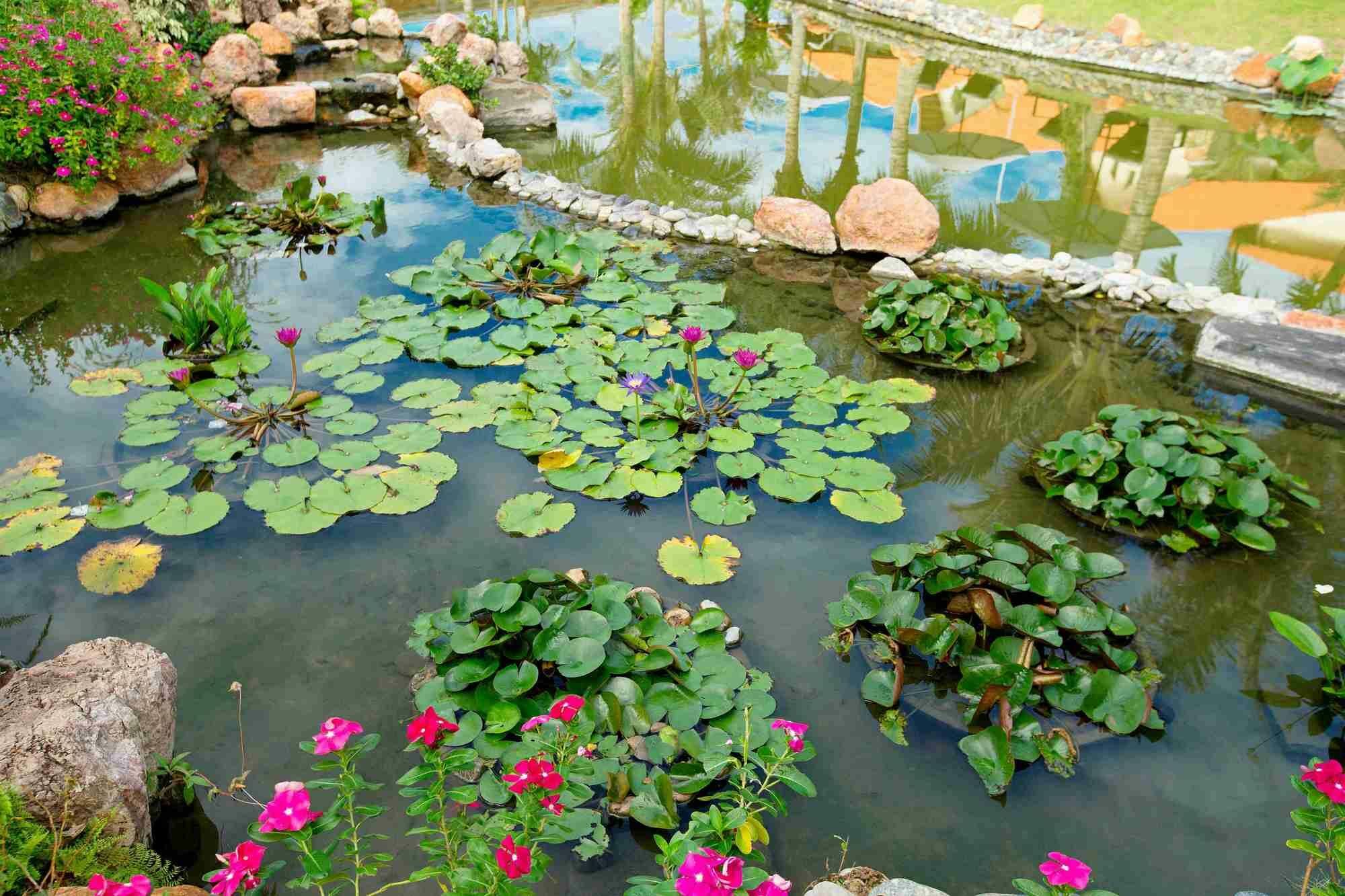 Blue Bay Mui Ne Resort & Spa Παν Θιέτ Εξωτερικό φωτογραφία